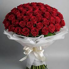 Букет 101 Красная роза Блэк Мэджик в Кахуне