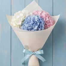 Букет цветов из:  Гортензия в Кахуне