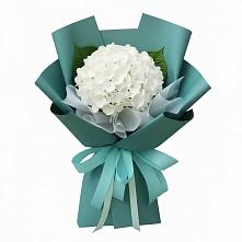 Букет цветов из:  Гортензия в Кахуне